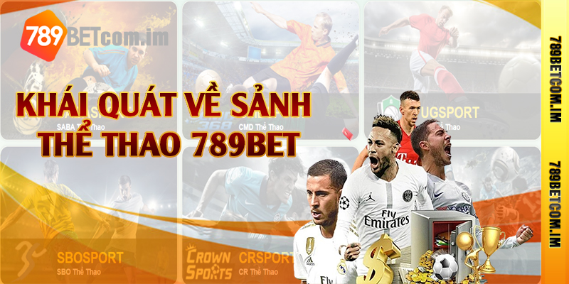 Khái quát về sảnh thể thao 789bet